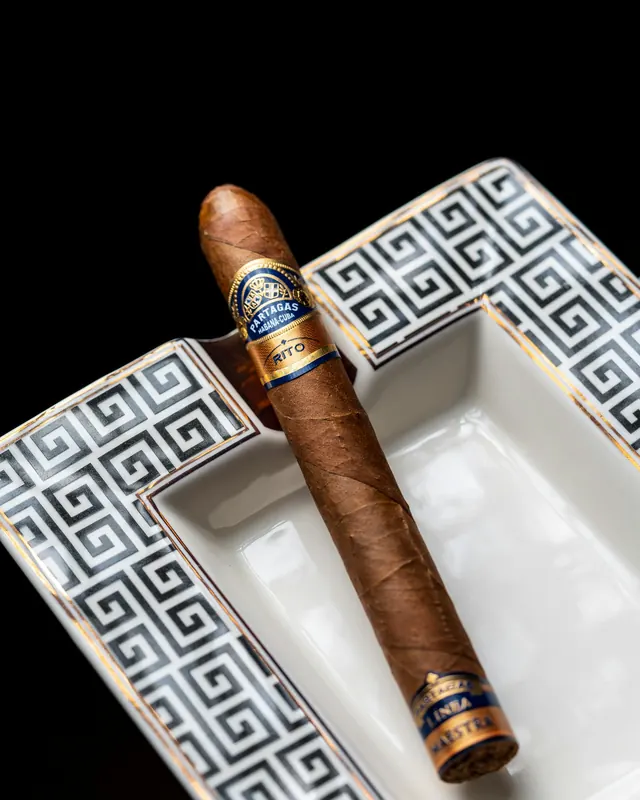 Puro sobre cenicero de porcelana